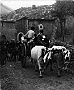 Estate di San Martino. Nel mondo contadino era una ricorrenza di festa per la conclusione dell’annata agraria, allietata da cibi di stagione come le castagne ed il vino novello